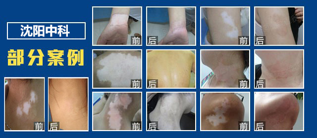 活动66.jpg